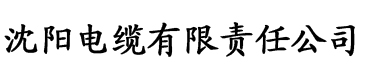 菠萝小视频APP电缆厂logo